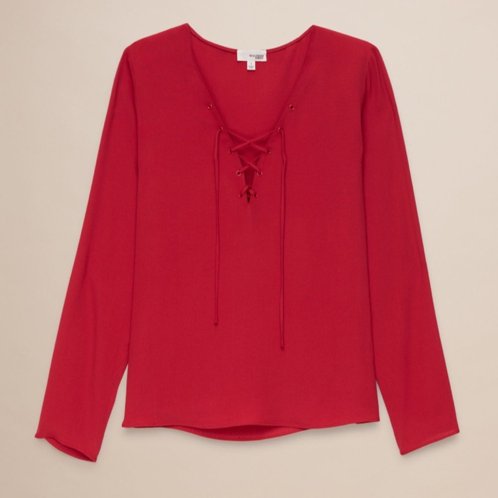 Aritzia Redling Blouse